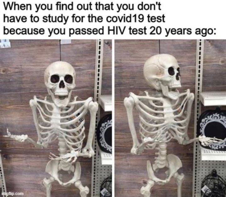 50+ Hilarious Skeleton Memes To Get You Into The Spooktober Spirit