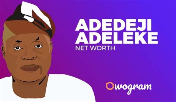 Adedeji Adeleke Net Worth 2021 (Davido's Father) Owogram
