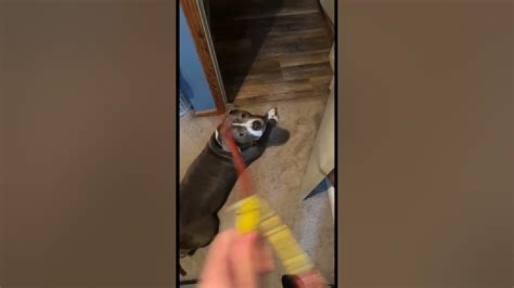 Beans make her dance!!!!!!! YouTube