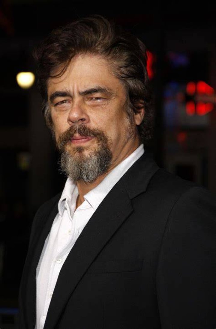 Benicio Del Toro's Fans Have a Funny Way of Greeting Him Vanity Fair