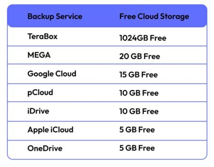 Cloud Storage Backup Services