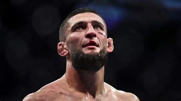 D Molly Hampton Khamzat Chimaev Record Before Ufc