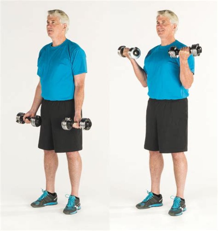 Forearm Curls Exercise YouTube