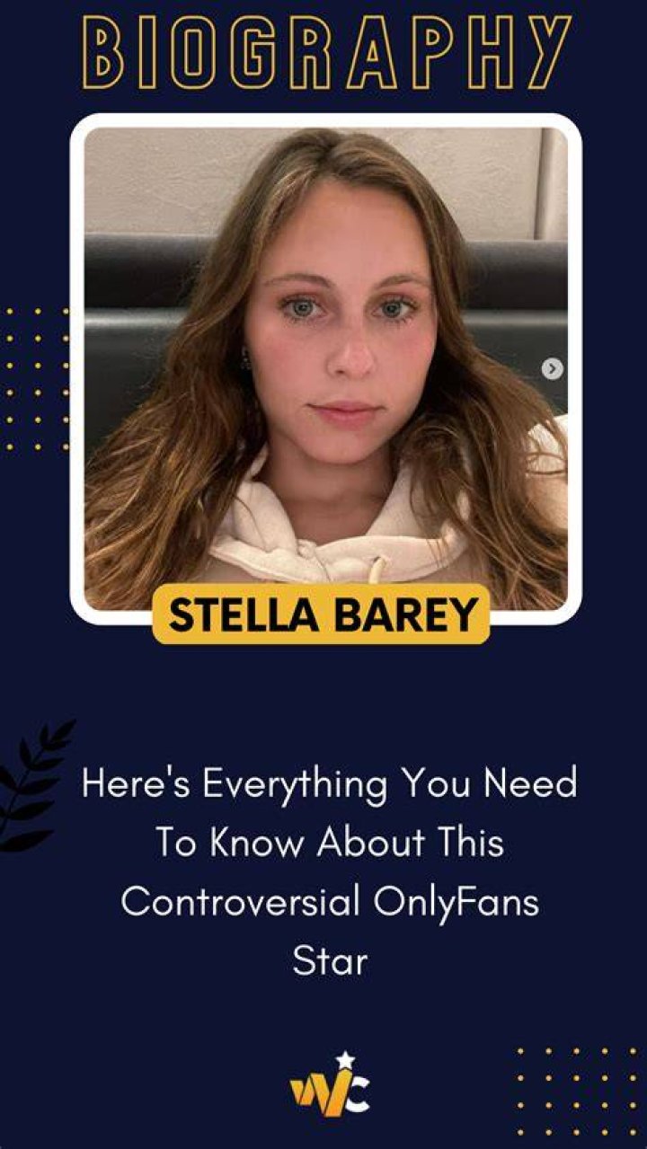 Get To Know Stella Barey, The Controversial OnlyFans Star And 6 Uncanny