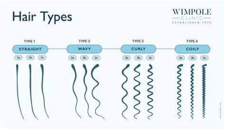 Hair, Gscsix