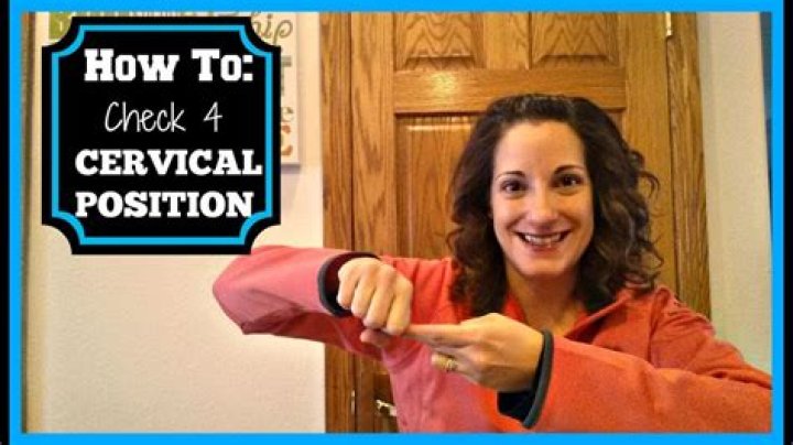 How To Check Cervix Position Elementchampionship Jeffcoocctax