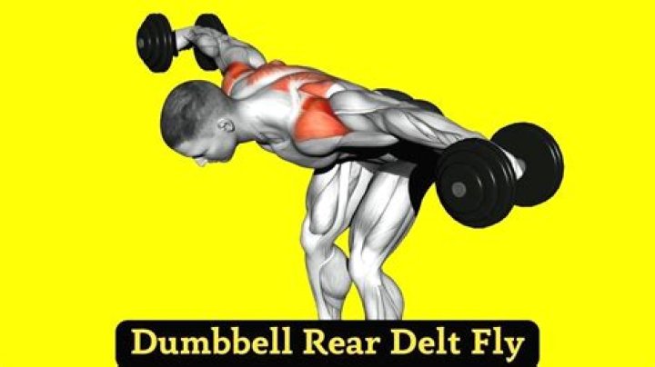 How To Do Rear Delt Cable Pull Correctly
