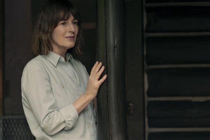 In Character Rosemarie DeWitt And So It Begins...