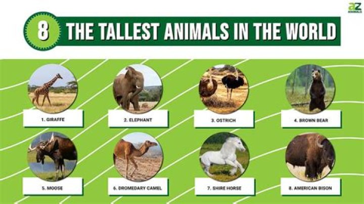 List 6 how tall is jenna ortega best today Tài Liệu Điện Tử