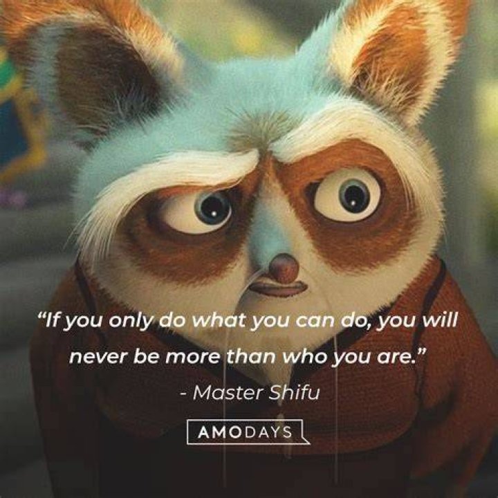 Master Shifu Quotes Kung Fu Panda / The universe has a very important