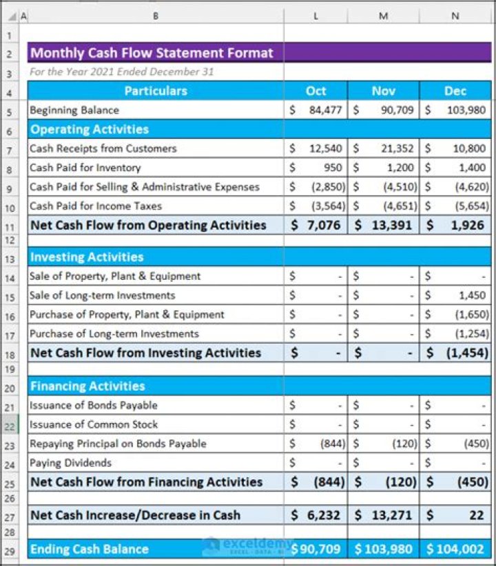 Monthly Cash Flow Statement