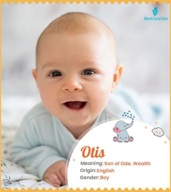 Otis Name Meaning, Origin, History, And Popularity