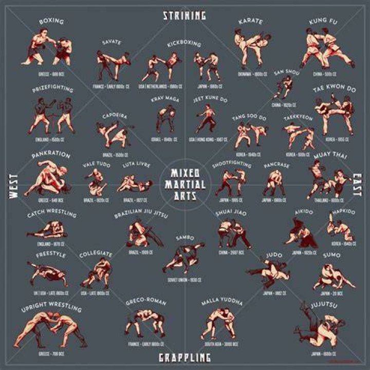 Pin on Mixed Martial Arts