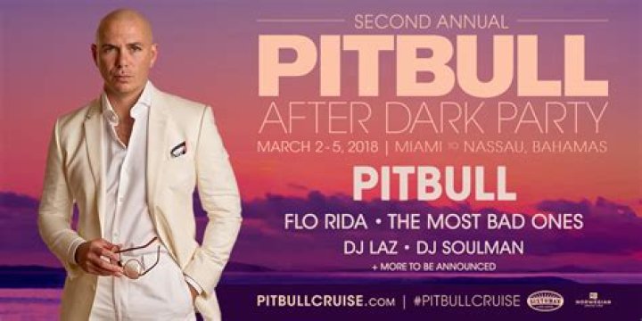 Pitbull After Dark Party