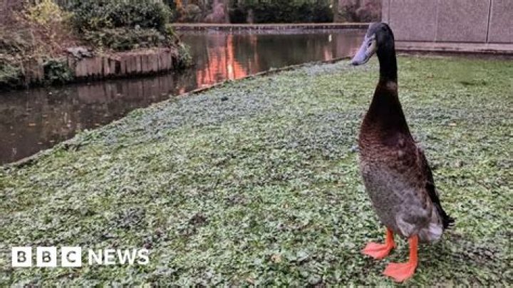 Search continues for missing duck hunters nearly 10 weeks later