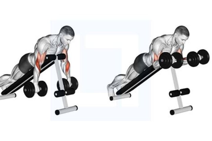 Spider Curl vs Preacher Curl What's the Difference?