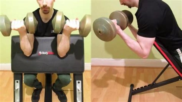 Spider Curls vs Preacher Curls Which is Better for Building Huge