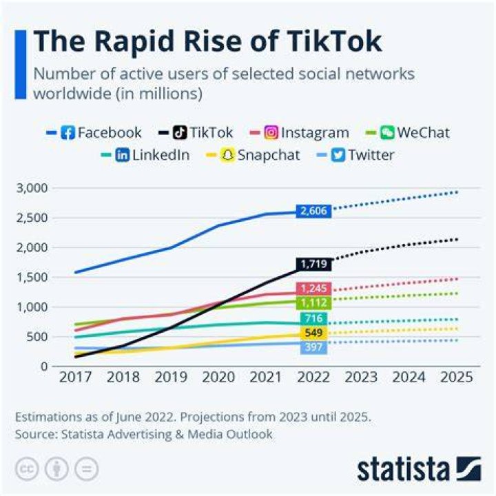 TikTok is urging users to call Congress about a looming ban The Verge