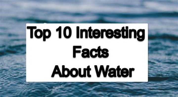 Top 10 interesting facts about seal Depth World