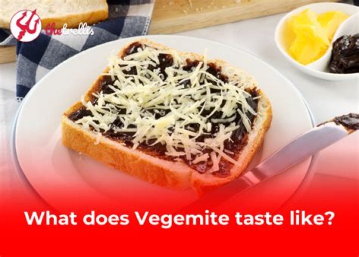 Vegemite What Does Vegemite Taste Like? &raquo; Joyful Dumplings