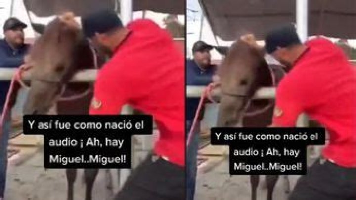Video original de Ay Miguel una experiencia &uacute;nica