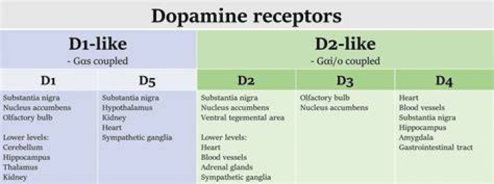 What Does D1 D2 D3 Mean in College? College Aftermath