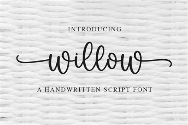 Willow Script Font Free Download