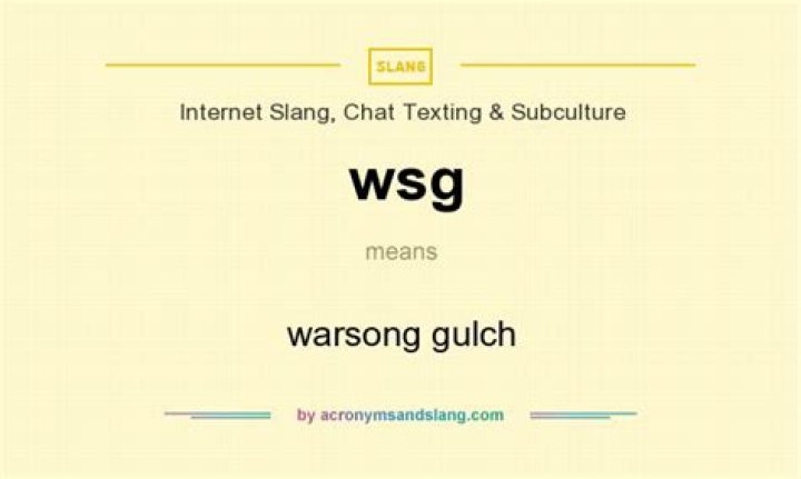 WSG Meaning In Texting Slang Decoded [June 2024] TexTribe